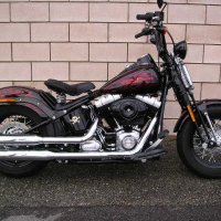 Personnalisation » Harley Davidson » Cross bones custom paint